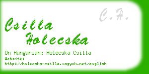 csilla holecska business card